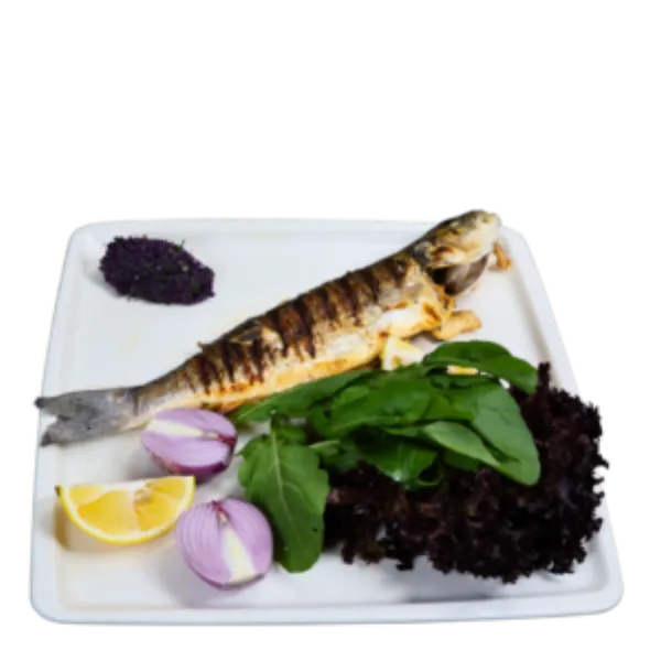 Levrek