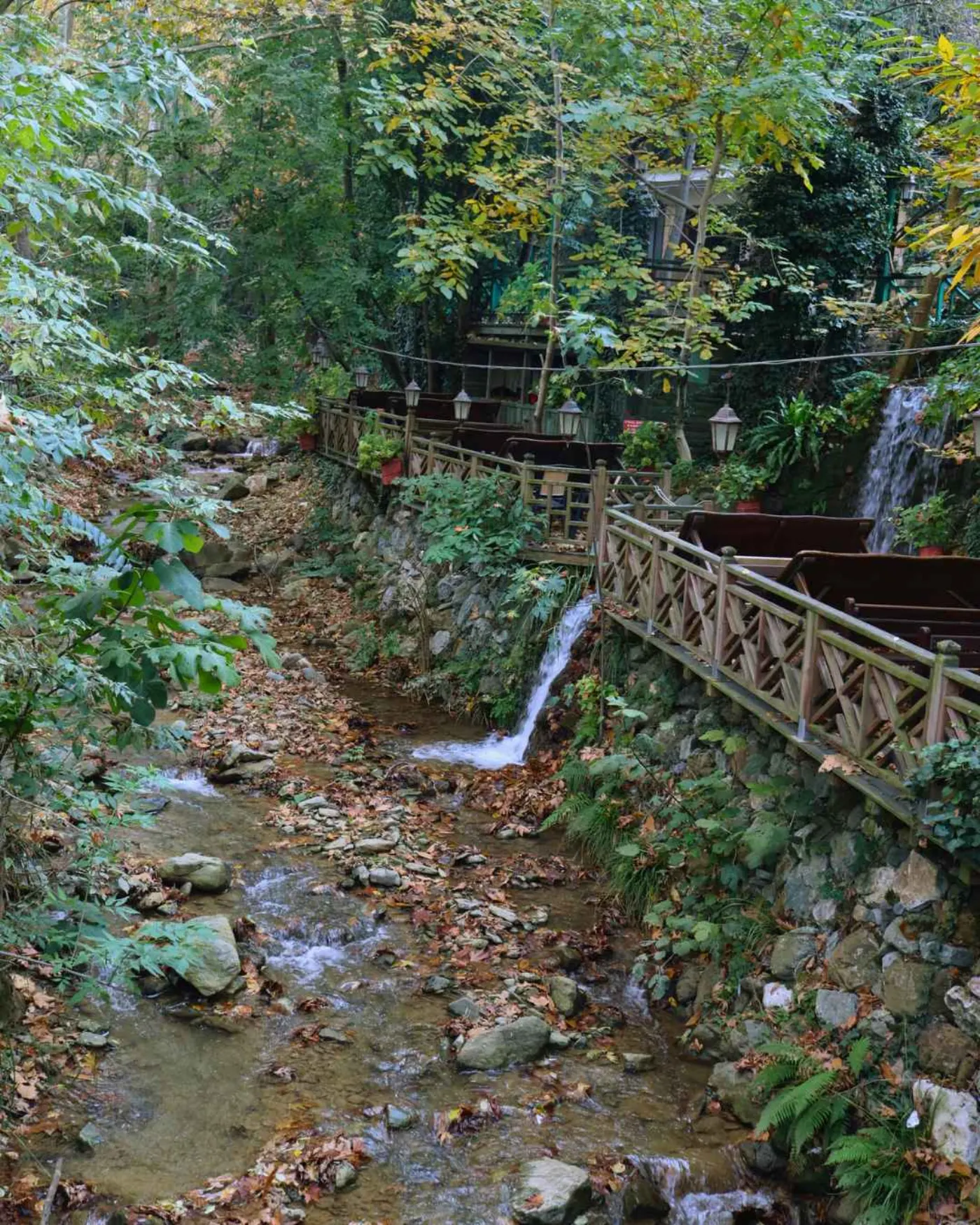 منظر الجدول
